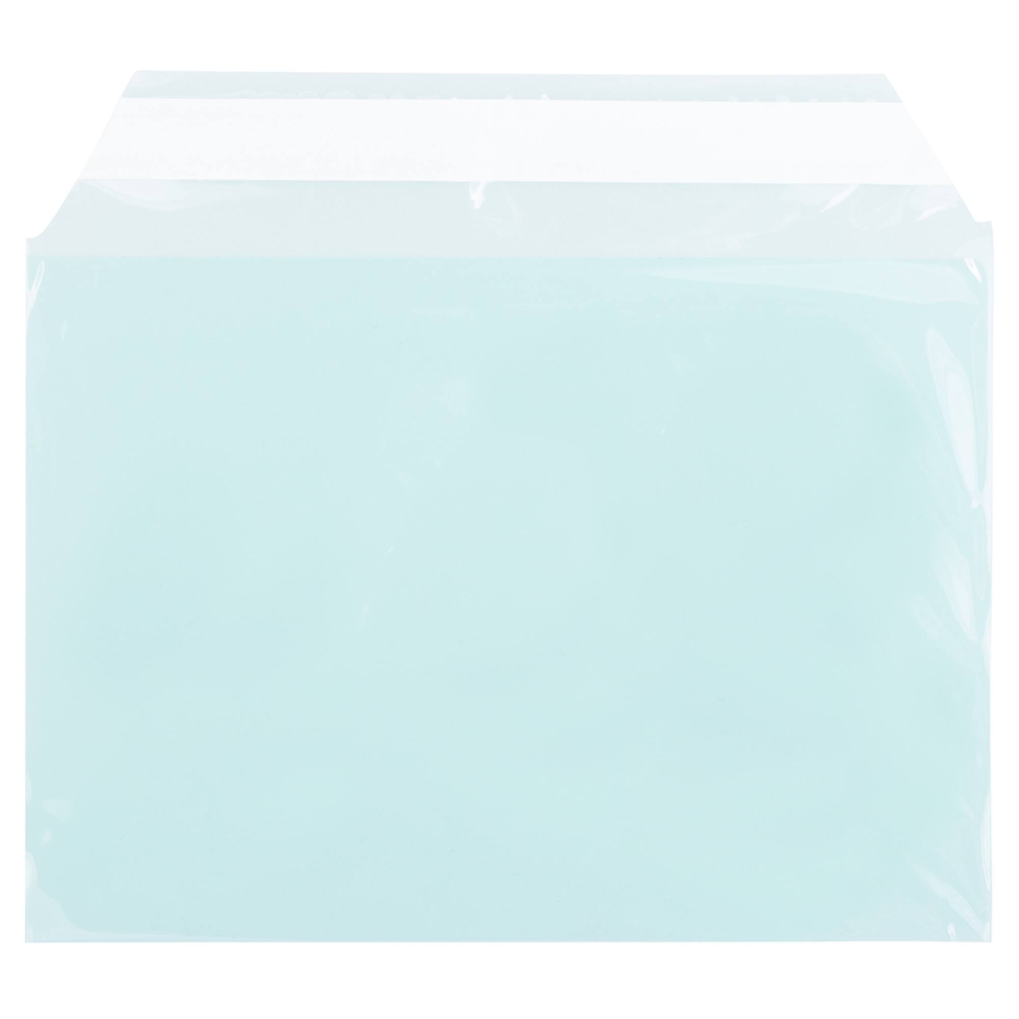 JAM Paper 5.063" x 7.188" Cello Sleeves with Self Adhesive Closures